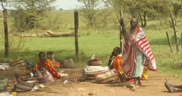 Tribus Masai Kenya Afrique Mars 2024 — Video