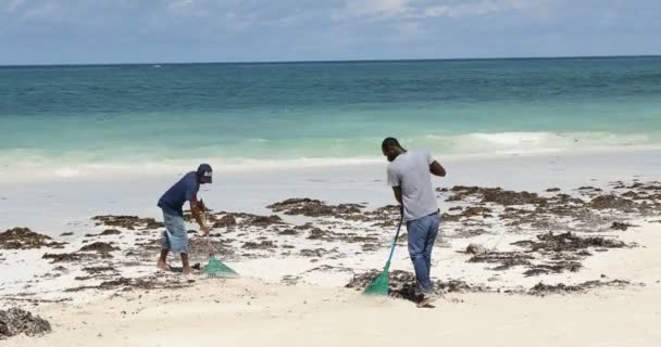 Lavoratore Africano Che Lavora Nella Spiaggia Nairobi Kenya Africa Marzo — Video Stock