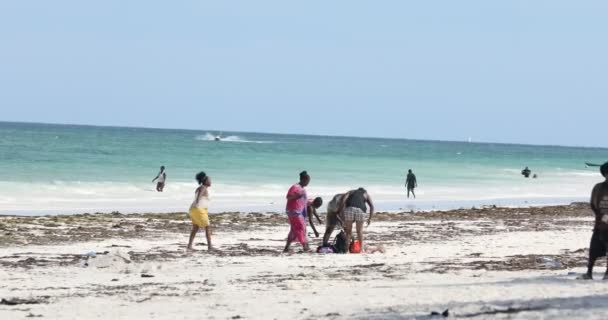 Nairobi Plajı Ndaki Turistler Mart 2024 — Stok video