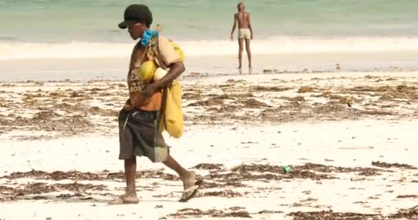 Afrykańscy Pracownicy Sprzątający Plażę — Wideo stockowe
