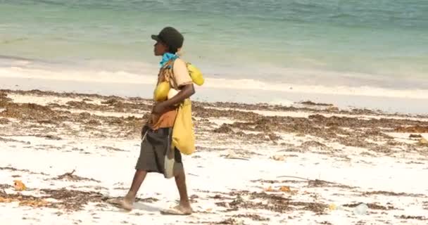 Afrykańscy Pracownicy Sprzątający Plażę — Wideo stockowe