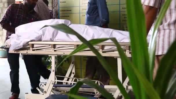 Martwe Ciało Szpitalu Hyderabad Indiach — Wideo stockowe