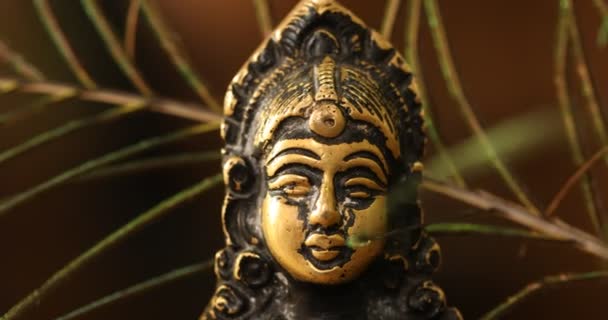 Hindoe God Goud Sculptuur India — Stockvideo