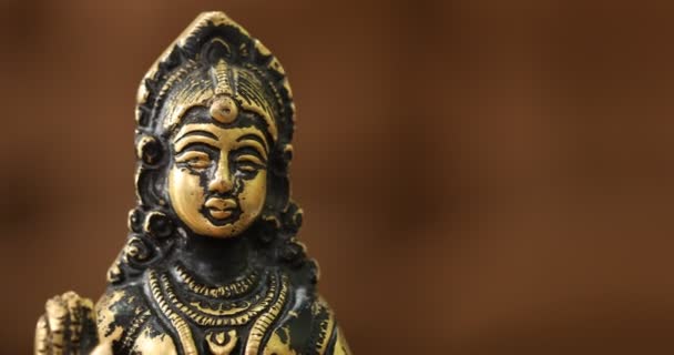 Hindoe God Goud Sculptuur India — Stockvideo