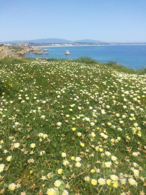 Algarve kıyısında Lagos yakınlarında Portekiz