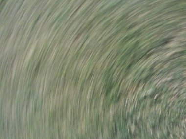 Soyut Görüntü Makro görüntüsünü Bırakıyor