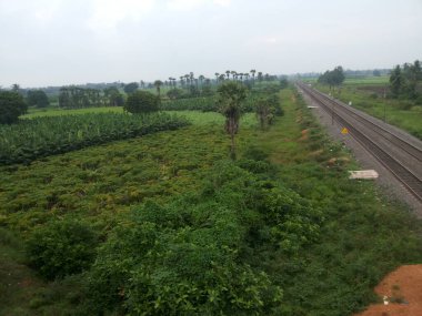 Tren yolu kırsal alanda Hindistan