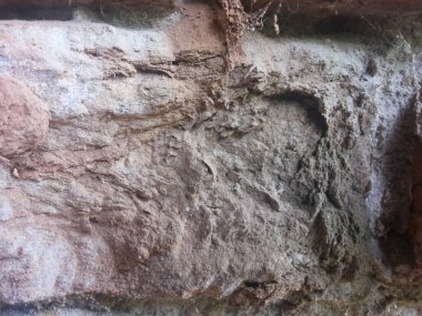 Hindistan 'daki eski bina duvarı.