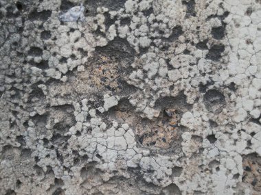 Hindistan 'daki eski bina duvarı.