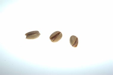 Stüdyoda kuru meyveler