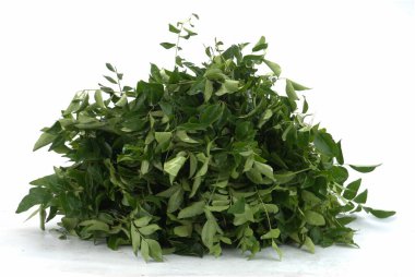 Hintli vejetaryen stüdyoda ayrıldı.