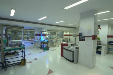 Hyderabad Hastanesi. 1 Ocak 2025.