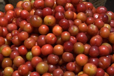 Bir dükkanda sebzeler