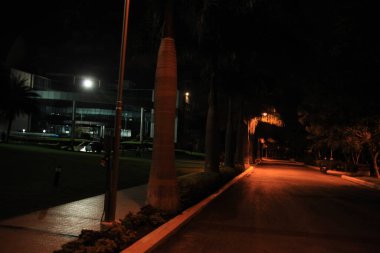 Tatil Tatil Gecesi Hindistan