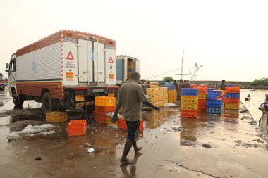 Hint Balıkçıları 5 Temmuz 2024 Kakinada Hindistan