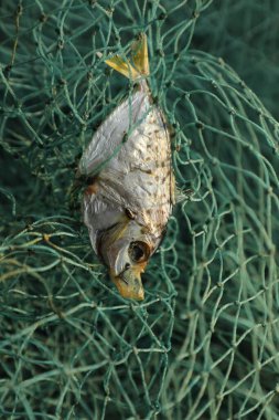 Dead Fish In the Fishing net clipart