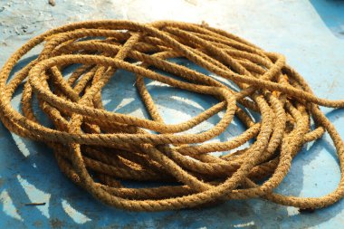 İp Doku Makro Çekimi