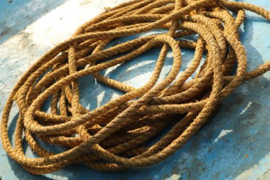 İp Doku Makro Çekimi