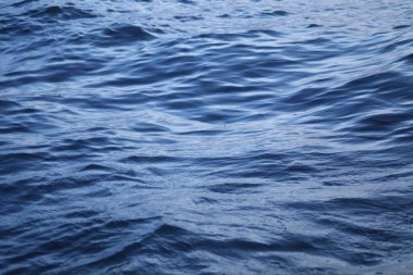 Okyanus Dalgaları Deniz Suyu Fırtınası Gece Ay ışığında