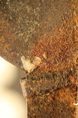 Eski duvar doku zarar