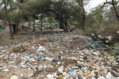 Hindistan 'ın kırsal kesimindeki köy çöplüğü.