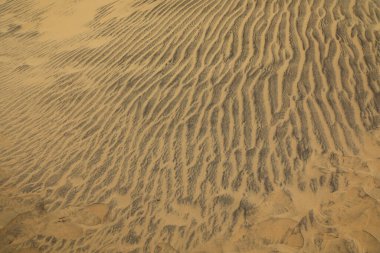 Kumsaldaki kum dokusu