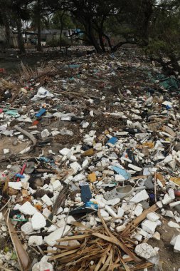 Hindistan 'ın kırsal kesimindeki köy çöplüğü.