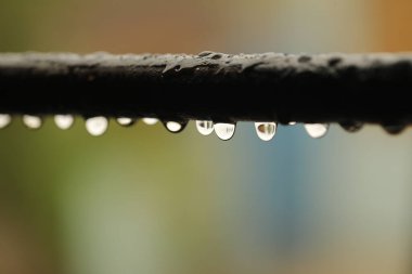 Yağmur makro çekim yapıyor.