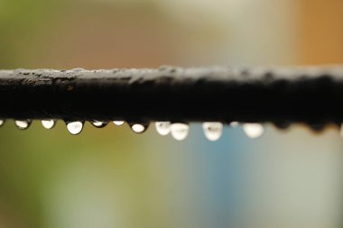 Yağmur makro çekim yapıyor.