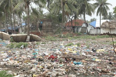 Hindistan 'ın kırsal kesimindeki köy çöplüğü.