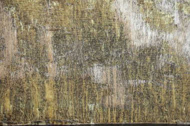 Eski duvardaki boya dokusu