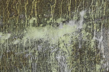 Eski duvardaki boya dokusu