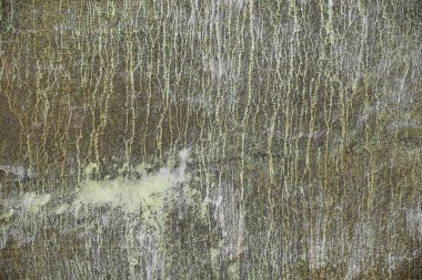 Eski duvardaki boya dokusu