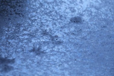 Ay ışığı Makro çekiminde kağıt üzerine yağ dokusu