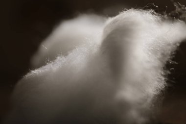 Doğal Ham Pamuk Stüdyosu