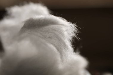 Doğal Ham Pamuk Stüdyosu