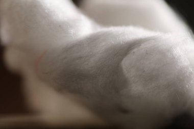 Doğal Ham Pamuk Stüdyosu