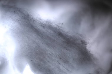 Doğal Ham Pamuk Stüdyosu