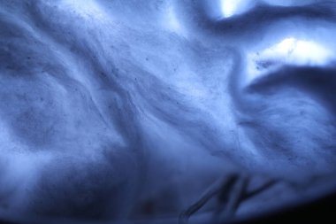 Moonlight stüdyosunda çiğ pamuk.