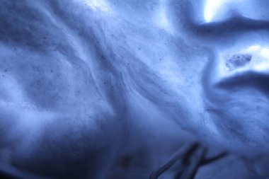 Moonlight stüdyosunda çiğ pamuk.