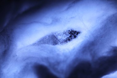 Moonlight stüdyosunda çiğ pamuk.