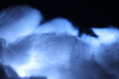 Moonlight stüdyosunda çiğ pamuk.