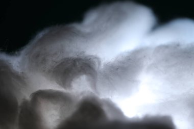 Doğal Ham Pamuk Stüdyosu