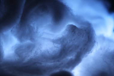 Moonlight stüdyosunda çiğ pamuk.