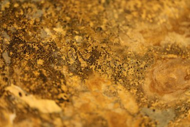 Vintage bir duvardaki eski boya