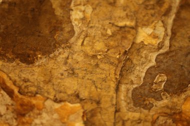 Vintage bir duvardaki eski boya