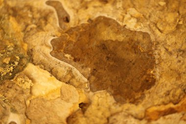 Vintage bir duvardaki eski boya