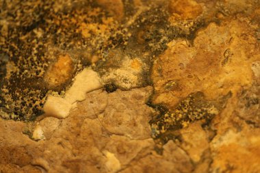 Vintage bir duvardaki eski boya