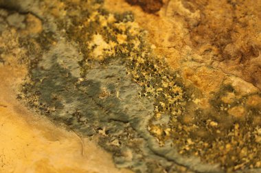 Vintage bir duvardaki eski boya