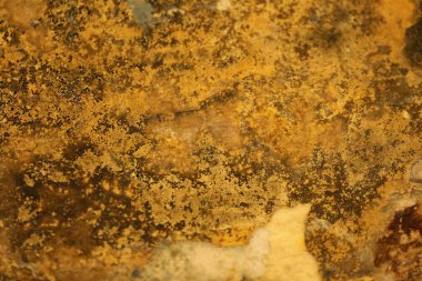 Vintage bir duvardaki eski boya